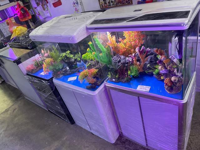 Photo of Vwin Aquarium &amp; Pets Trading - Puchong, Selangor, Malaysia