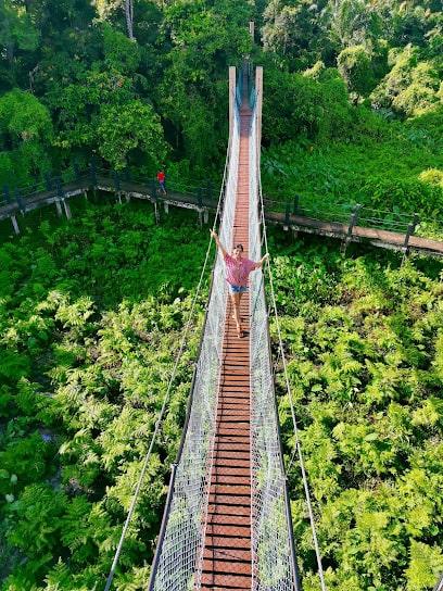 Background Blur Cover