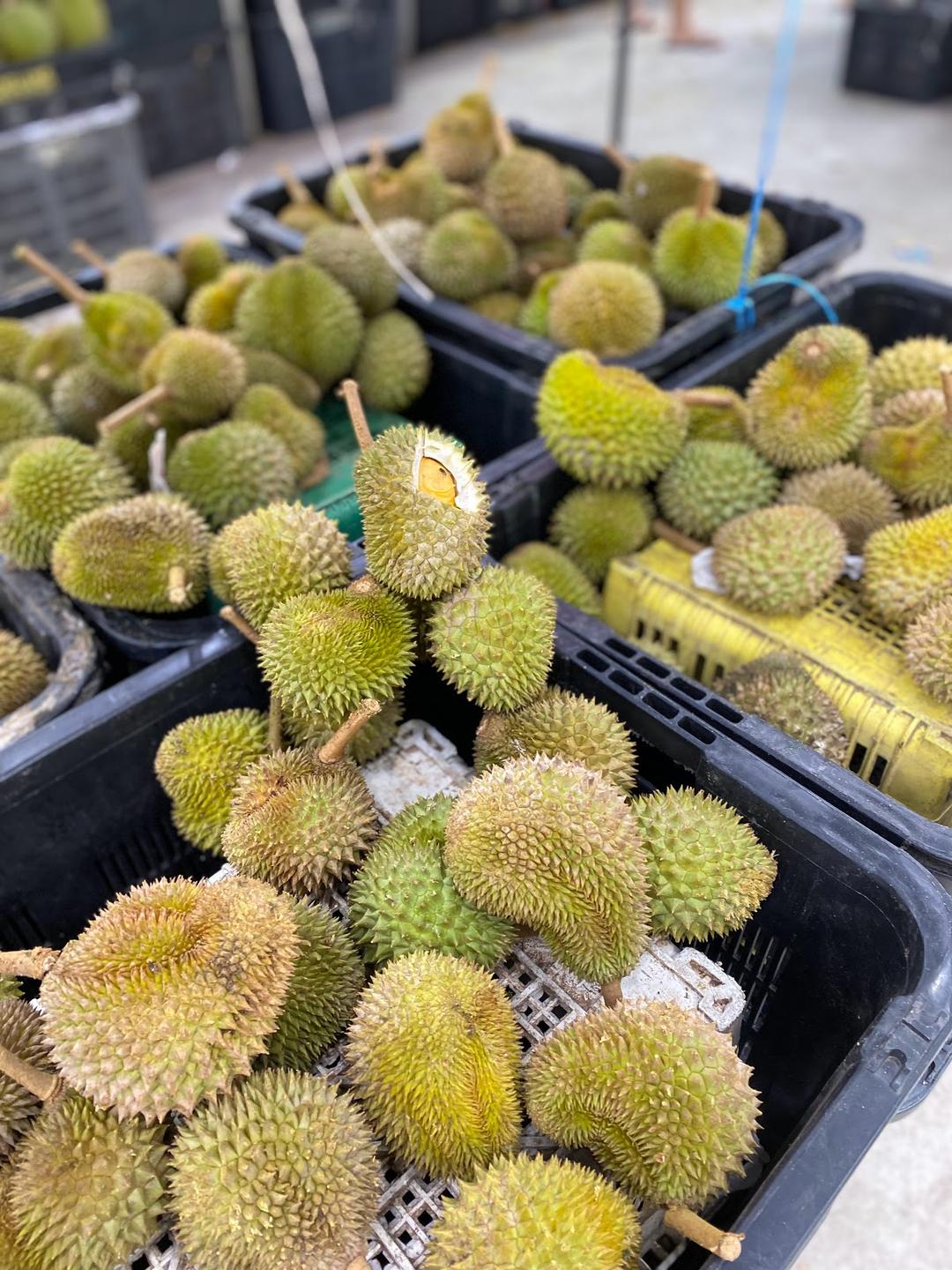 Photo of Ah Shui Durian - Sutera (I'm musang king) - Johor Bahru, Johor, Malaysia