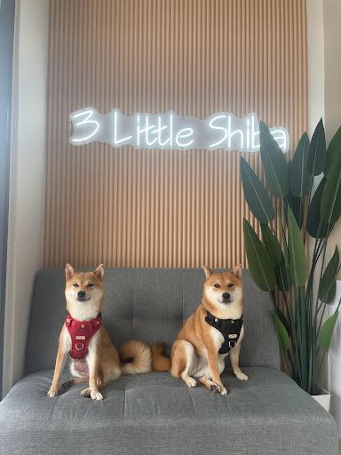 Photo of Three Little Shiba Studio And Cafe - Kuala Lumpur, Kuala lumpur, Malaysia