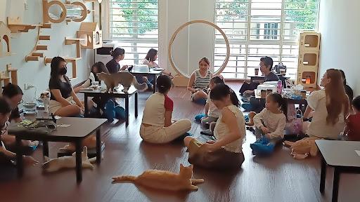 Photo of Cuffymeow Cat Cafe - Kuala Lumpur, Kuala lumpur, Malaysia