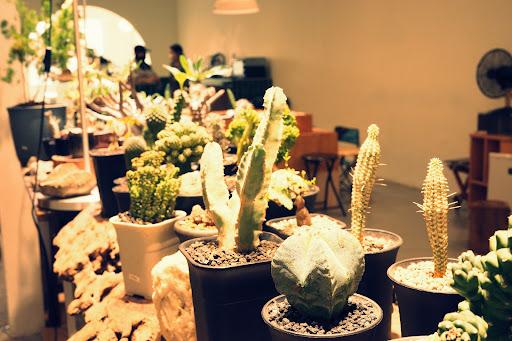 Photo of Spring Spring cafe - Petaling Jaya, Selangor, Malaysia