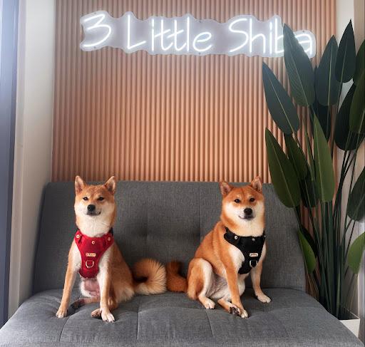 Photo of Three Little Shiba Studio And Cafe - Kuala Lumpur, Kuala lumpur, Malaysia