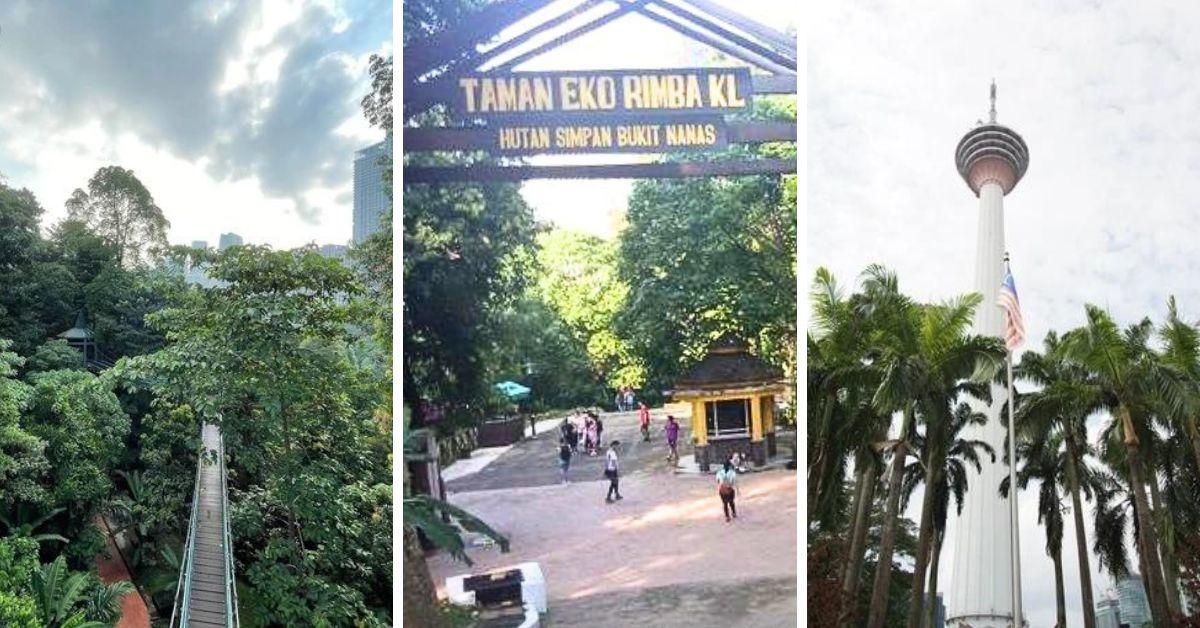 A Guide to Visiting the KL Forest Eco Park