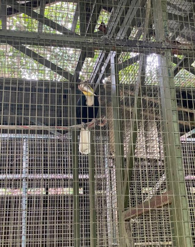 Photo of Lok Kawi Wildlife Park - Kota Kinabalu, Sabah, Malaysia