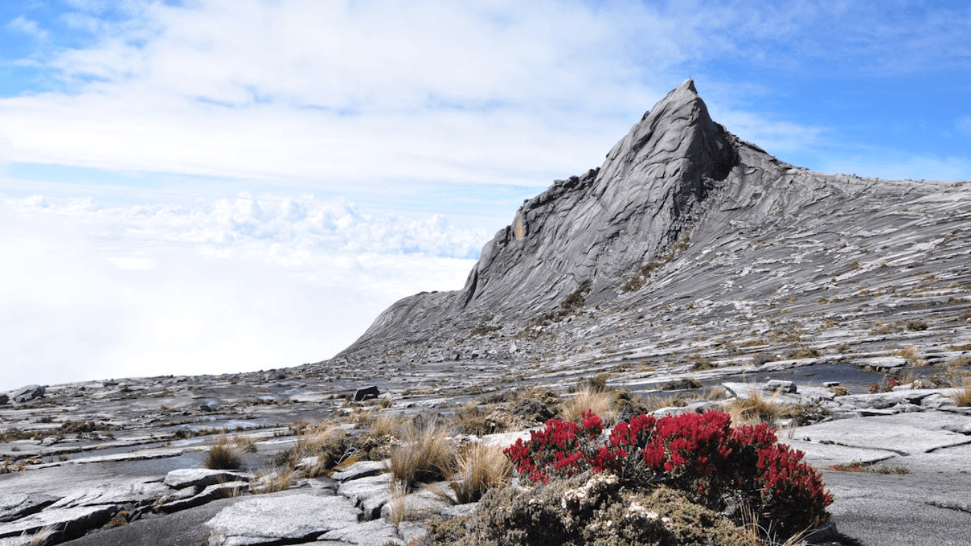Scaling New Heights: Discover the Thrill of Mount Kinabalu on a Budget