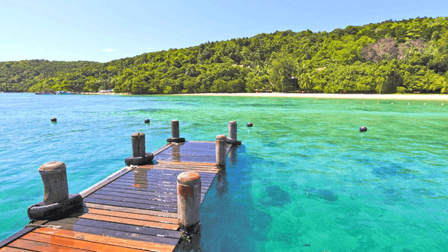 Dive into Sea Paradise: The Manukan Island's Snorkeling Adventures