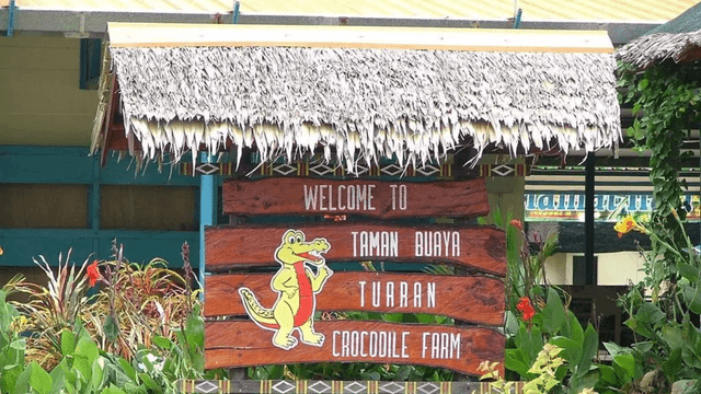 Unleash the Wild in Sabah: Exploring the Thrills of Tuaran Crocodile Farm