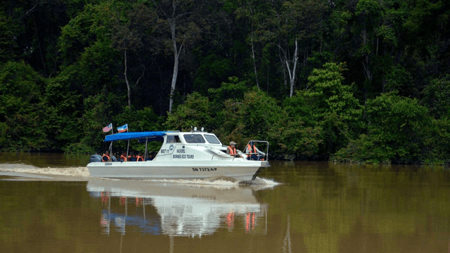 Explore the Wonders of Sandakan: A 2D2N Sukau Rainforest Lodge Adventure