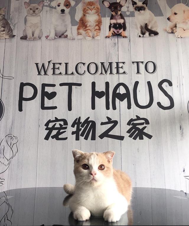 Photo of Pet Haus KK - Kota Kinabalu, Sabah, Malaysia