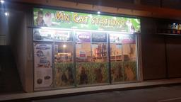 MN Cat Station 2