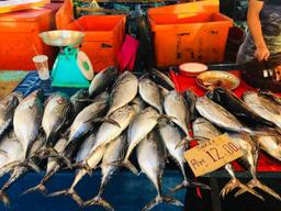 Hajah Velma Borneo Seafood
