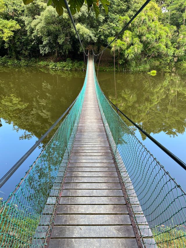 Photo of Rainforest Discovery Centre - Sandakan, Sabah, Malaysia