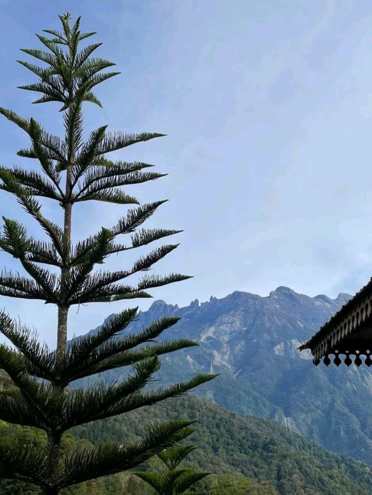 Photo of The Glass Bistro & Restaurant - Kundasang, Sabah, Malaysia