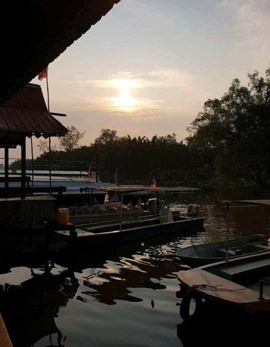 Photo of Weston 红树林 - Kota Kinabalu, Sabah, Malaysia