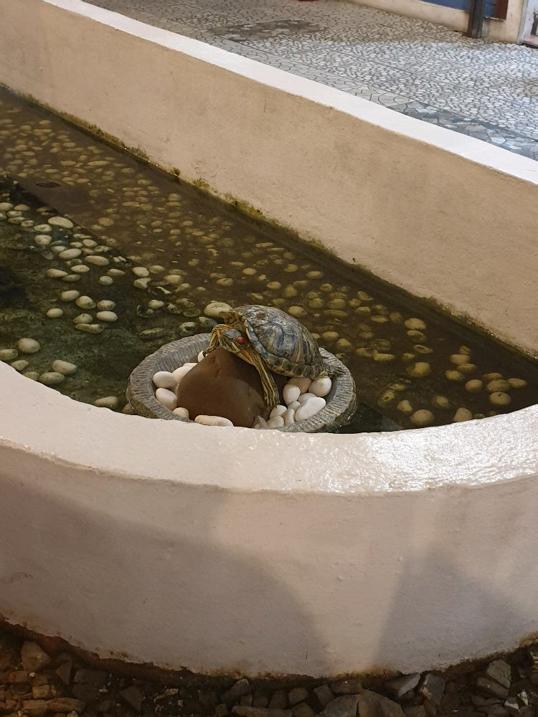 Photo of The Bab's - Kota Kinabalu, Sabah, Malaysia