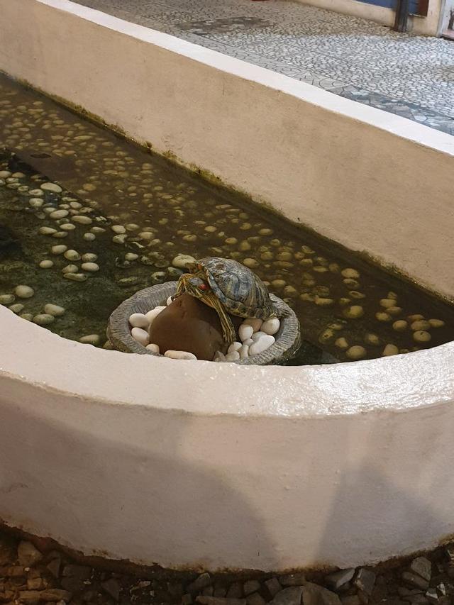 Photo of The Bab's - Kota Kinabalu, Sabah, Malaysia