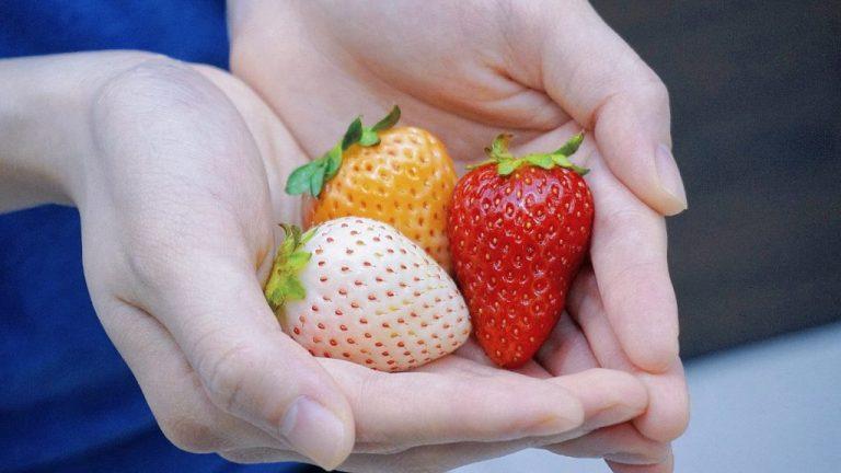 Photo of CCK Local City Mall KK - Kota Kinabalu, Sabah, Malaysia