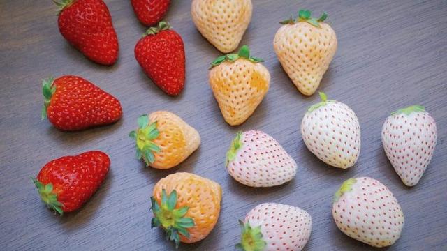 Photo of CCK Local City Mall KK - Kota Kinabalu, Sabah, Malaysia