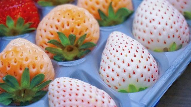 Photo of CCK Local City Mall KK - Kota Kinabalu, Sabah, Malaysia