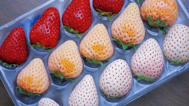 Photo of CCK Local City Mall KK - Kota Kinabalu, Sabah, Malaysia