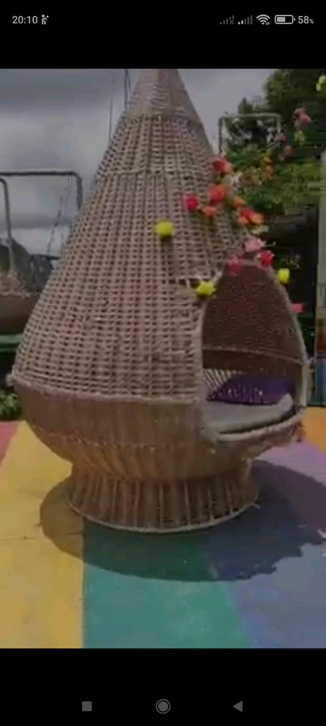 Photo of Kokol Hill Elf, Kota Kinabalu, Sabah. - Kota Kinabalu, Sabah, Malaysia