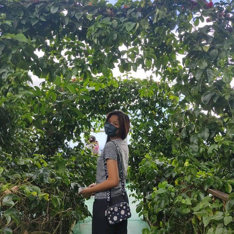 Photo of Kokol Hill Elf, Kota Kinabalu, Sabah. - Kota Kinabalu, Sabah, Malaysia