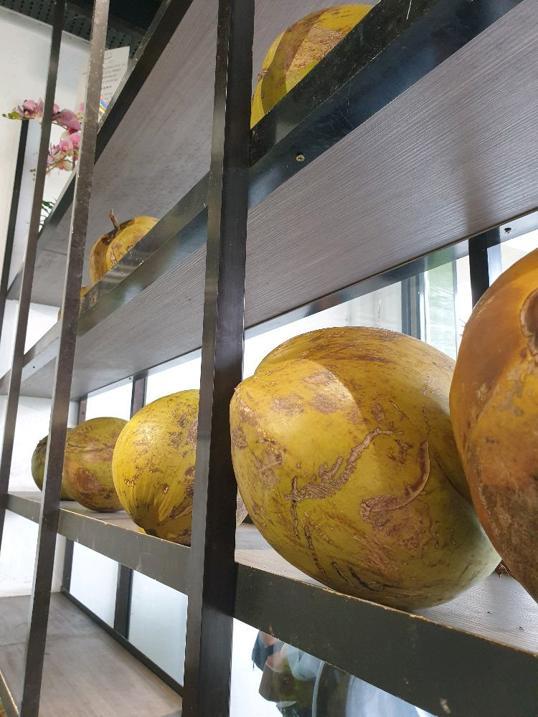 Photo of The Royal Coconut Lintas - Kota Kinabalu, Sabah, Malaysia