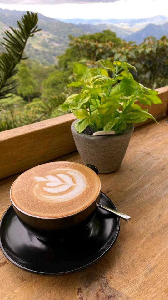 Photo of Kloud Restaurant, Bar & Cafe at Mountain Valley Resort - Kundasang, Sabah, Malaysia