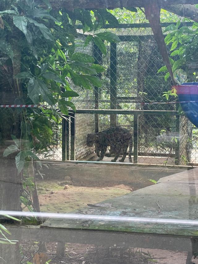 Photo of Lok Kawi Wildlife Park - Kota Kinabalu, Sabah, Malaysia