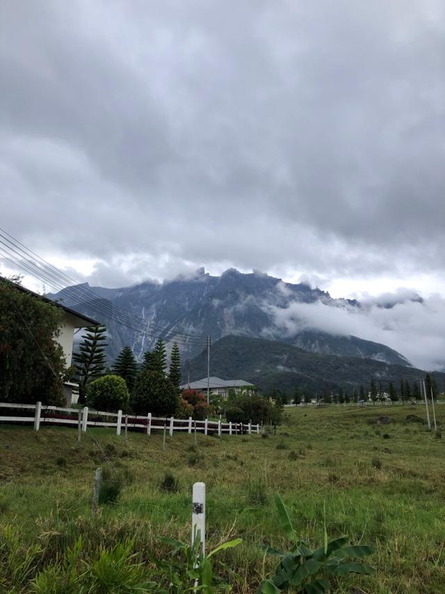 Photo of Ladang Tenusu Desa Cattle - Kundasang, Sabah, Malaysia