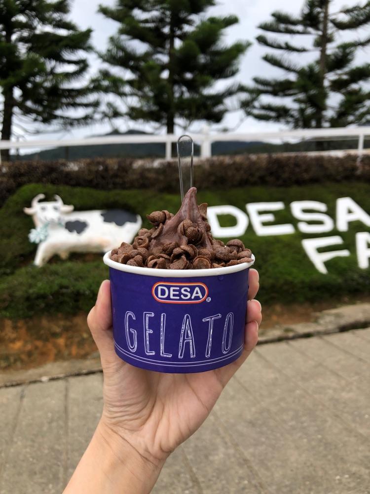 Photo of Ladang Tenusu Desa Cattle - Kundasang, Sabah, Malaysia