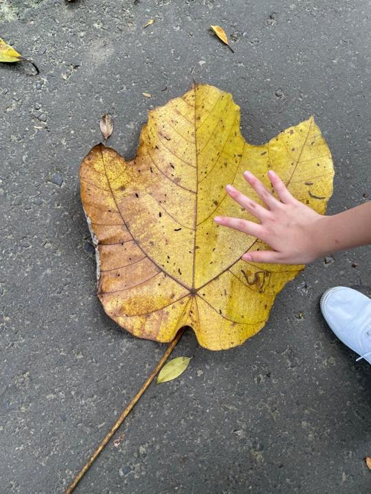 Photo of Bukit Padang - Kota Kinabalu, Sabah, Malaysia