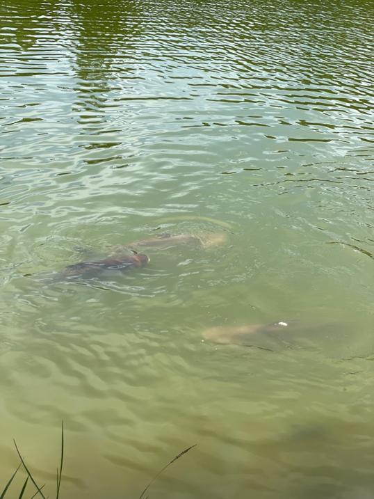 Photo of Bukit Padang - Kota Kinabalu, Sabah, Malaysia