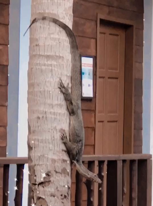 Photo of Sutera at Mantanani Island Resort & Spa, Kota Belud, Sabah, MALAYSIA - Kota Kinabalu, Sabah, Malaysia