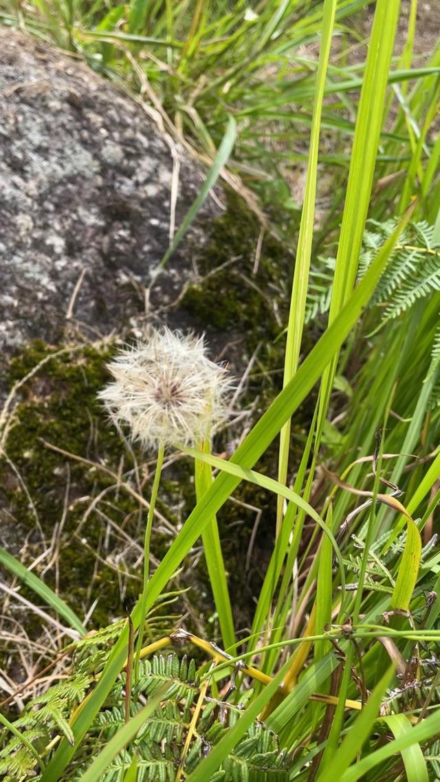 Photo of Mersilou 3Sixty Peak - Kundasang, Sabah, Malaysia