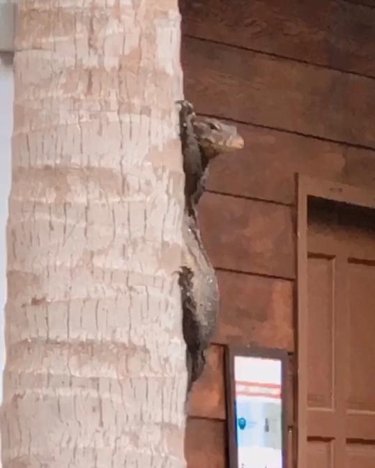 Photo of Sutera at Mantanani Island Resort & Spa, Kota Belud, Sabah, MALAYSIA - Kota Kinabalu, Sabah, Malaysia