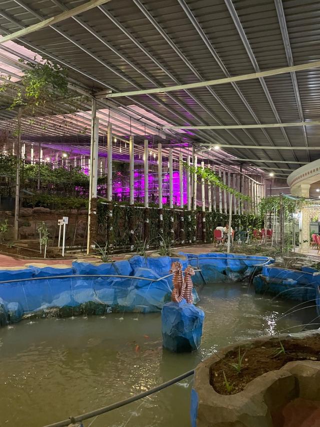 Photo of Nutribah - Kota Kinabalu, Sabah, Malaysia