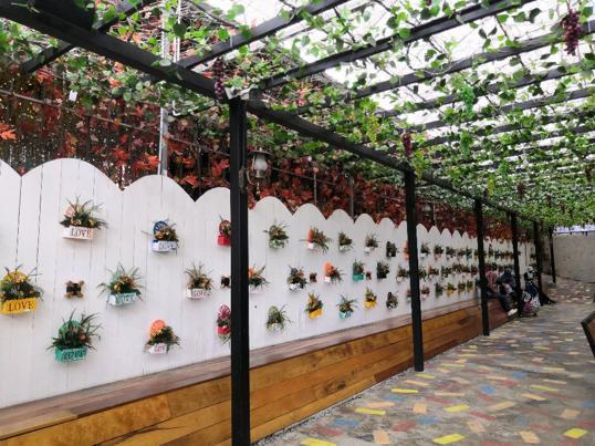 Photo of Hooga Cafe @ Kundasang Farm Ville - Kundasang, Sabah, Malaysia