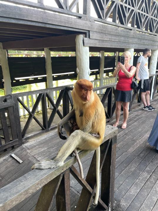 Photo of Labuk Bay (platform B) - Sandakan, Sabah, Malaysia