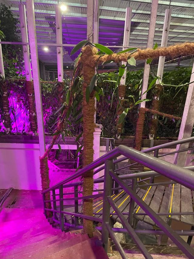 Photo of Nutribah - Kota Kinabalu, Sabah, Malaysia