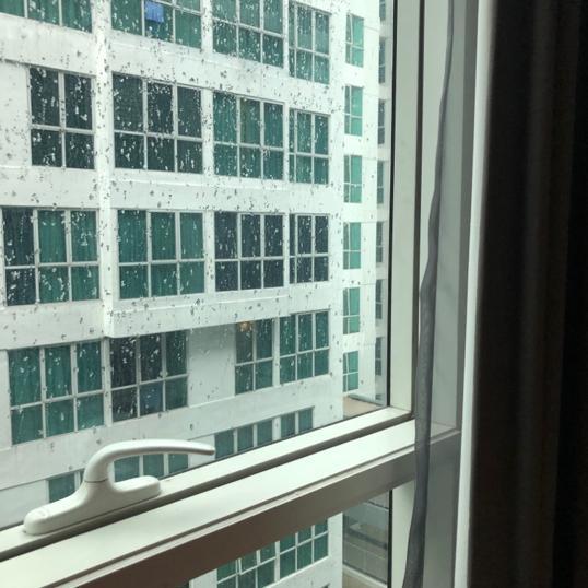 Photo of Homesuite' Hotel - Kota Kinabalu, Sabah, Malaysia