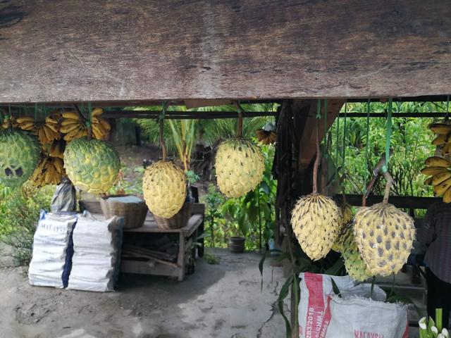 Photo of Local fruits stakk - Kota Marudu, Sabah, Malaysia