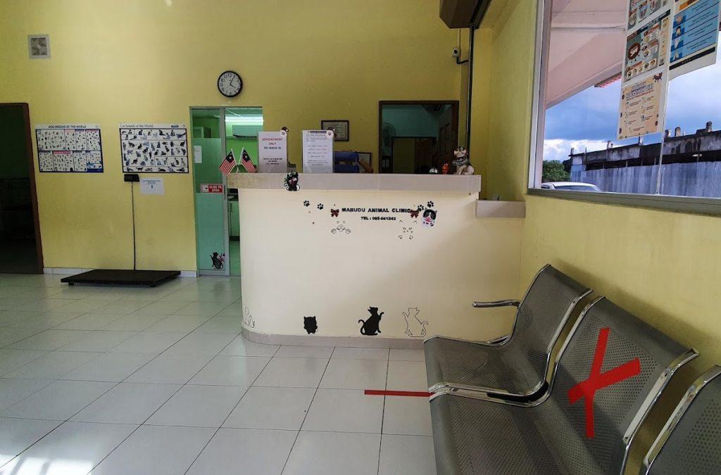 Background Blur Cover