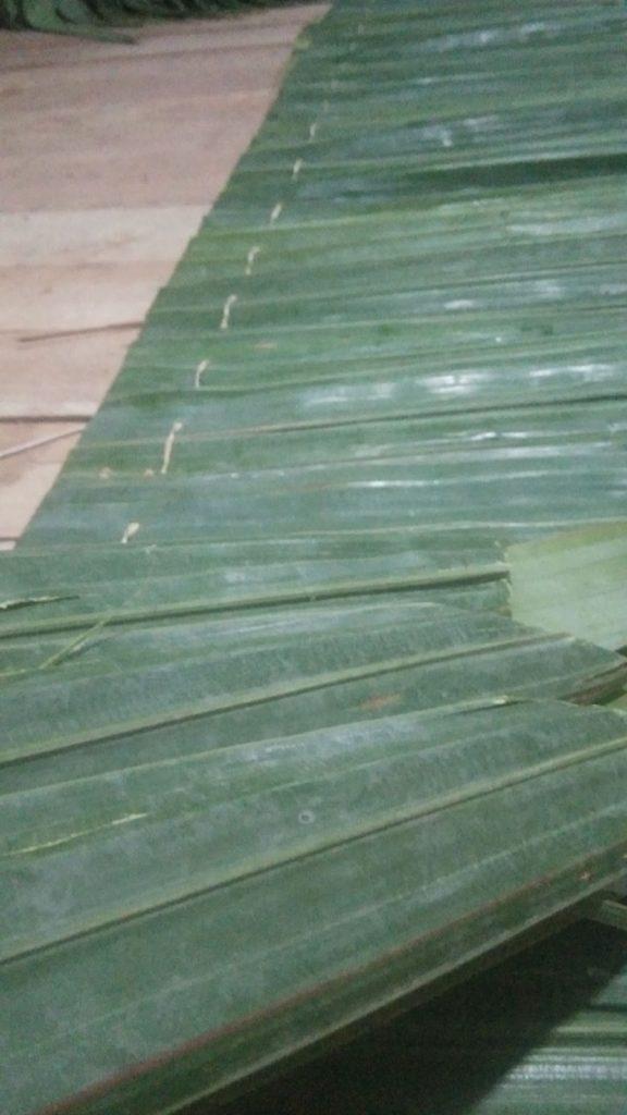 Background Blur Cover