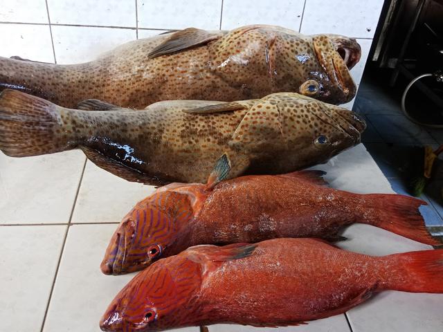 Photo of New Marudu Restaurant - Kota Marudu, Sabah, Malaysia