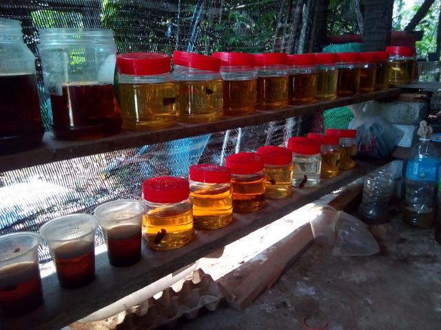 Photo of Patrick Betta Shop - Kota Marudu, Sabah, Malaysia