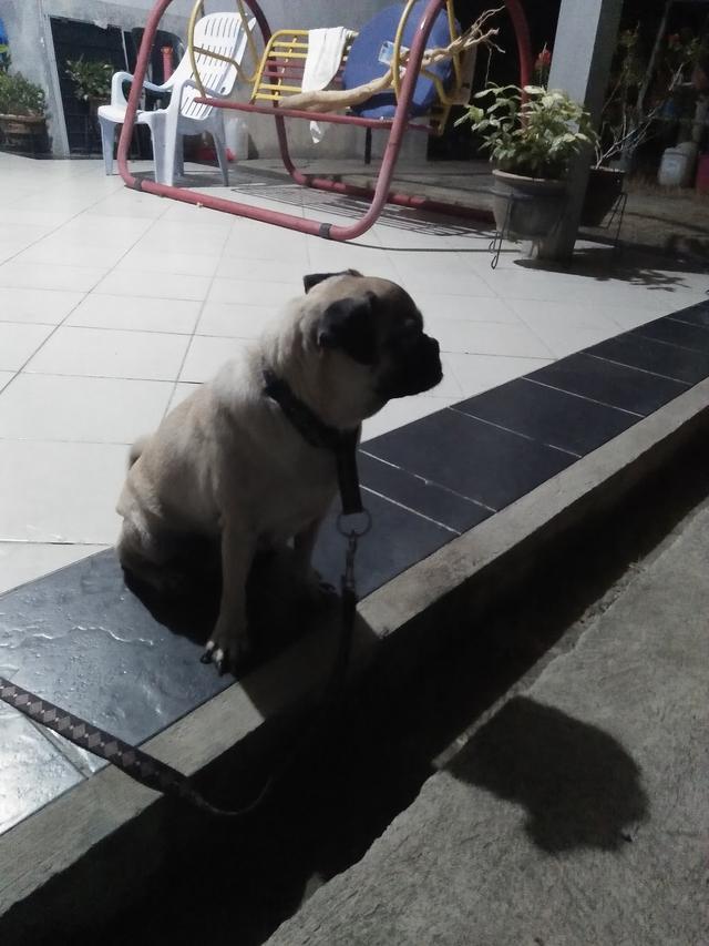 Photo of Restaurant Chan Hiong - Kota Marudu, Sabah, Malaysia