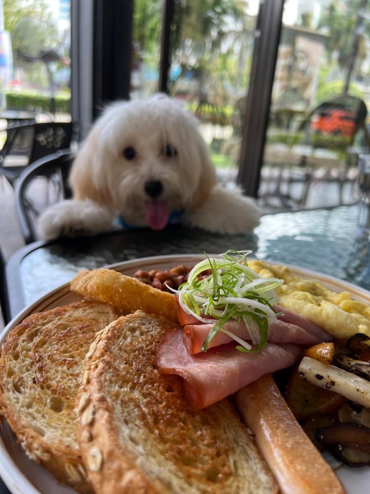 Photo of Le Phi - Kota Kinabalu, Sabah, Malaysia