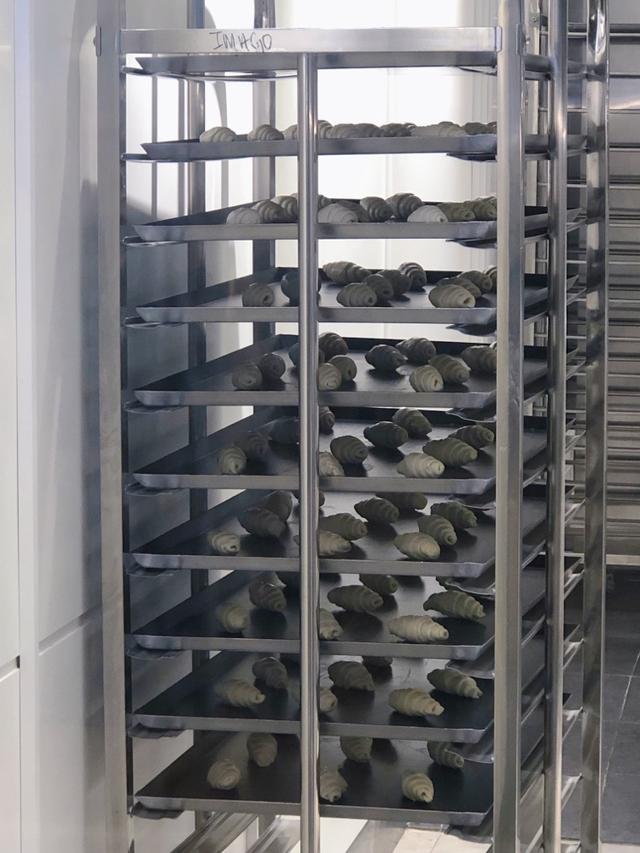 Photo of Hazukido - Kota Kinabalu, Sabah, Malaysia